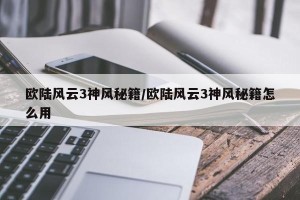 欧陆风云3神风秘籍/欧陆风云3神风秘籍怎么用